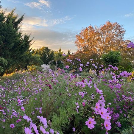 Melbourne Garden Bed And Breakfast Melton South Экстерьер фото