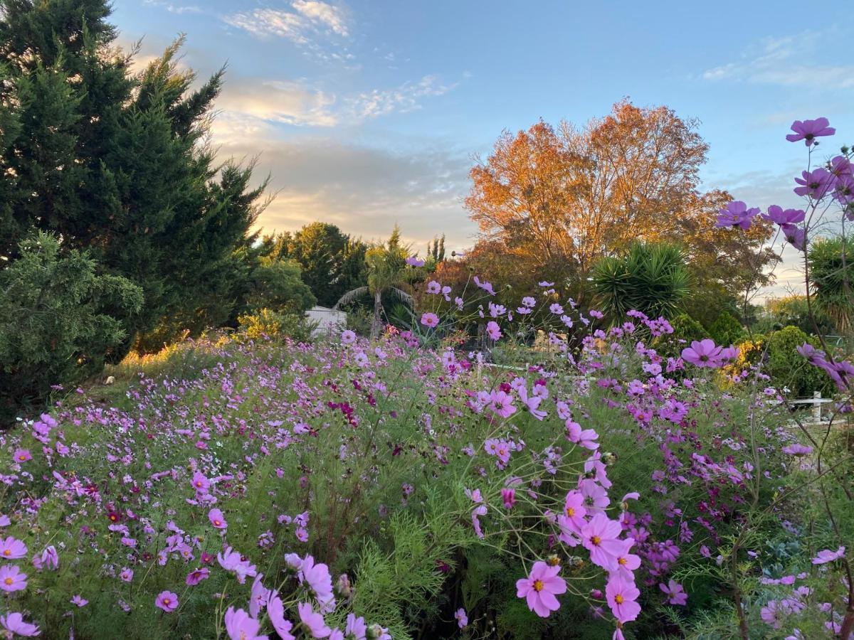 Melbourne Garden Bed And Breakfast Melton South Экстерьер фото